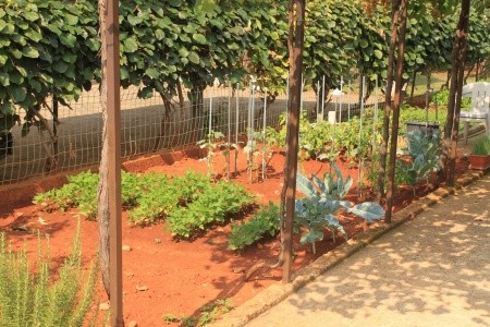 Apartmány 3298-1544 - 5