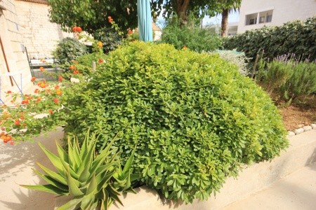 Apartmány 3298-320 - 3