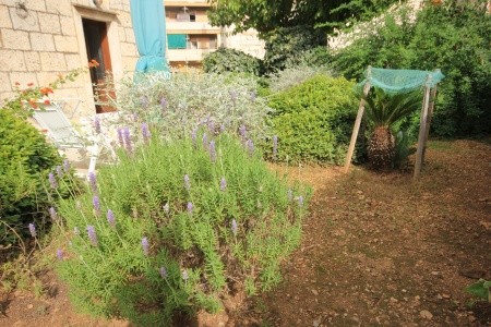 Apartmány 3298-320 - 5