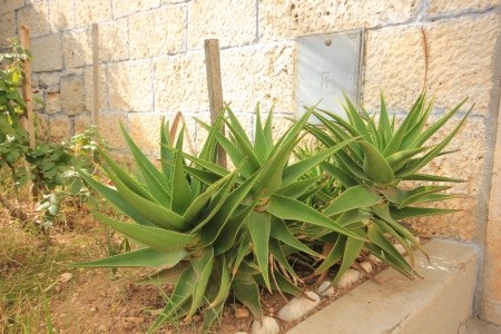 Apartmány 3298-320 - 6