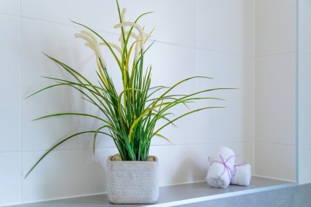 Apartmány 3298-6746 - 74