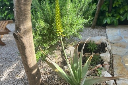 Apartmány 3298-7134 - 8