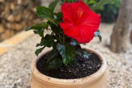 Apartmány 3298-7134 - 9