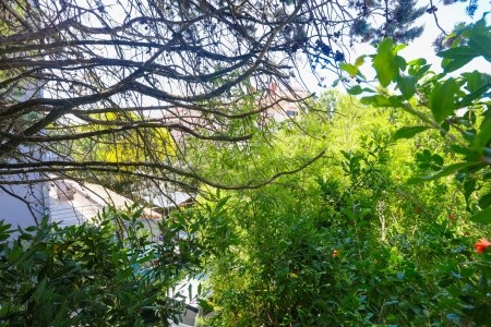 Apartmány 3298-7133 - 49