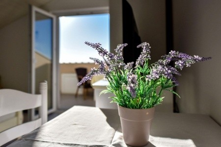 Apartmány 3298-7256 - 71