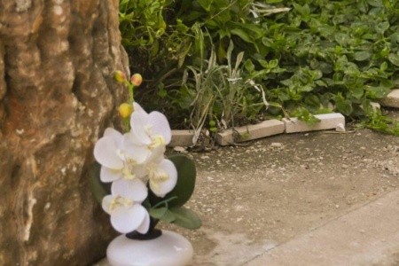 Apartmány 1355-6699 - 4