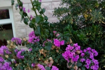 Apartmány 1355-6699 - 5