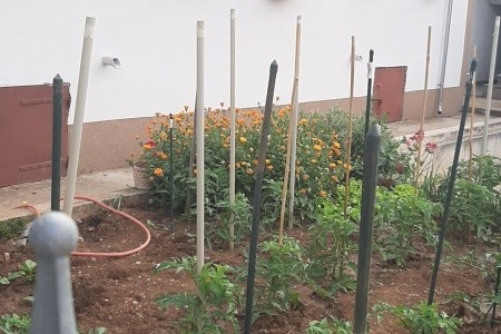 Apartmány 1355-5209 - 3