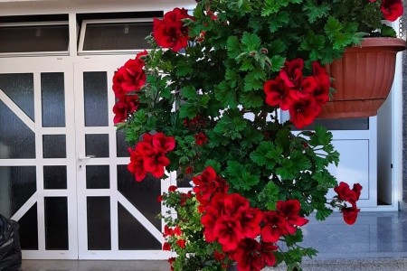 Apartmány 1355-5209 - 4