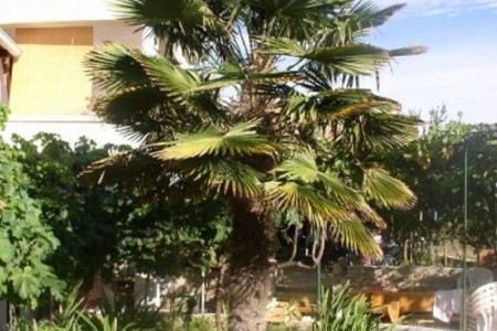 Apartmány 1355-5535 - 4