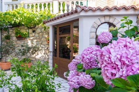 Apartmány 3298-2764 - 30