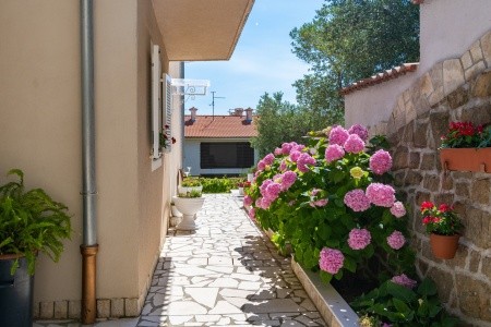 Apartmány 3298-2764 - 28