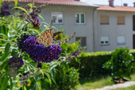 Apartmány 3298-2764 - 48