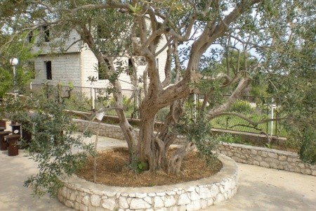 Apartmány 3298-1254 - 10