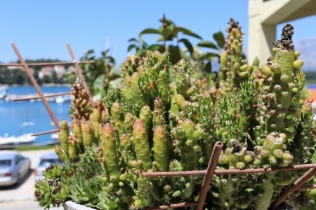 Apartmány 3298-801 - 14