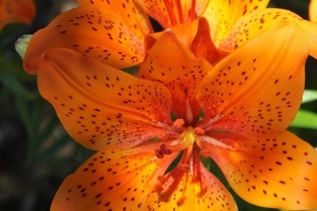 Apartmány 3298-1335 - 13