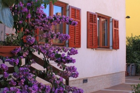 Apartmány 3298-1573 - 4