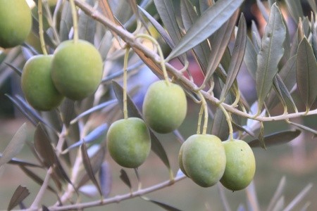 Apartmány 3298-1573 - 3