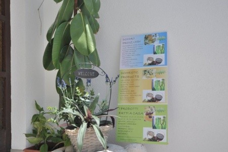 Apartmány 1355-1866 - 6