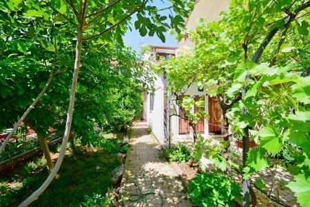 Apartmány 1355-1781 - 2