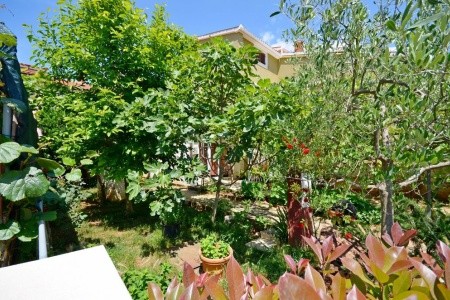 Apartmány 1355-1781 - 5