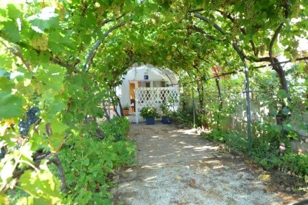 Apartmány 1355-1781 - 17