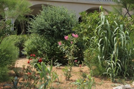 Apartmány 3298-1431 - 19