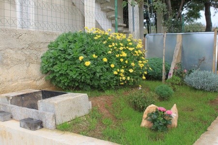 Apartmány 3298-2126 - 6