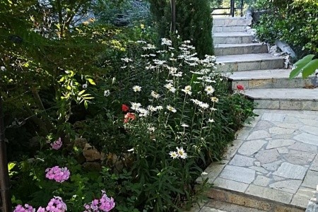 Apartmány 3298-2941 - 12