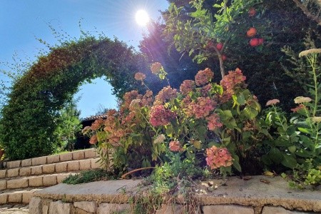 Apartmány 3298-5165 - 39