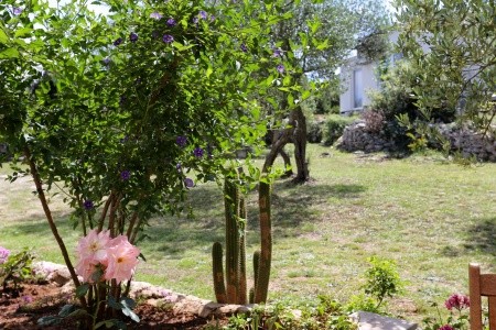 Apartmány 3298-788 - 5