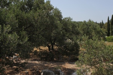 Apartmány 3298-1796 - 11