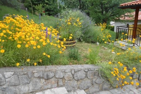 Apartmány 1355-3472 - 8