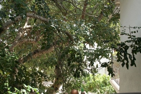 Apartmány 3298-819 - 50