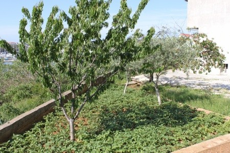 Apartmány 3298-1679 - 20