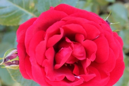 Apartmány 3298-5361 - 11