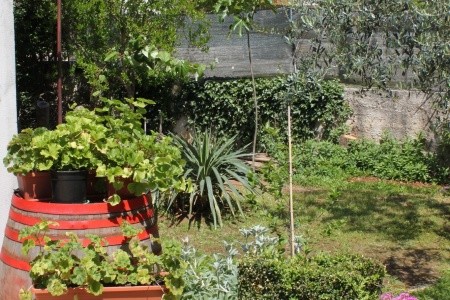 Apartmány 3298-5361 - 12