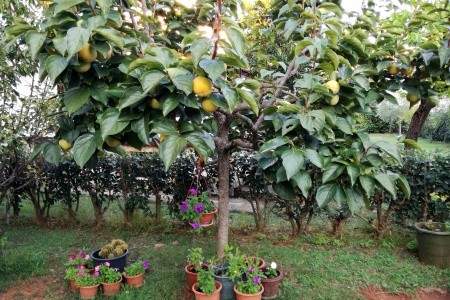 Apartmány 3298-4052 - 29