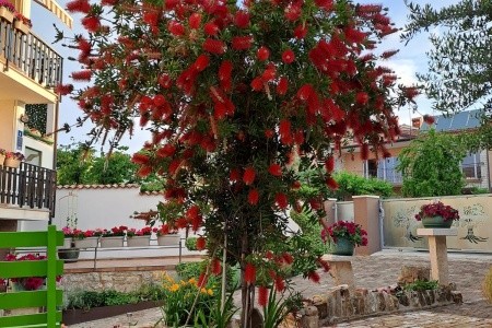 Apartmány 3298-4870 - 21