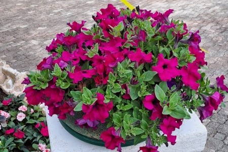 Apartmány 3298-4870 - 22