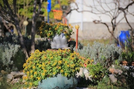 Apartmány 3298-3866 - 4