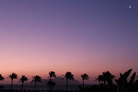 Egypt Sharm El Sheikh Baron Resort 9 dňový pobyt All Inclusive Letecky Letisko: Katovice February 2026 (20/02/26-28/02/26)