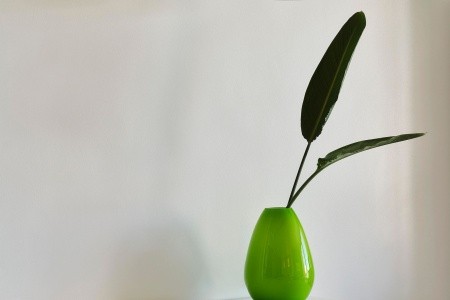 Amus Hotel & Spa - 206