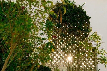 Baron Palms Resort - 89