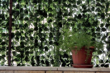 Apartmány 3298-1161 - 10