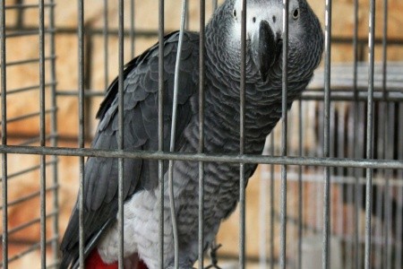 Apartmány 3298-1161 - 11