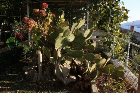 Apartmány 3298-1613 - 39