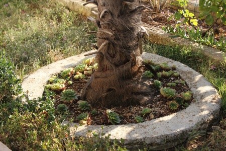 Apartmány 3298-1613 - 43