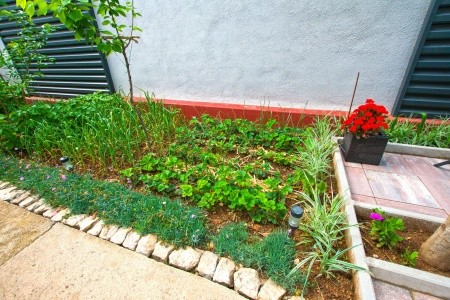 Apartmány 1355-7242 - 5