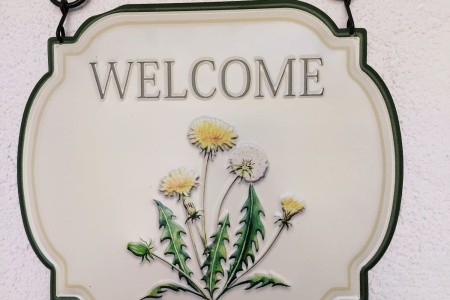 Apartmány 1355-7321 - 52